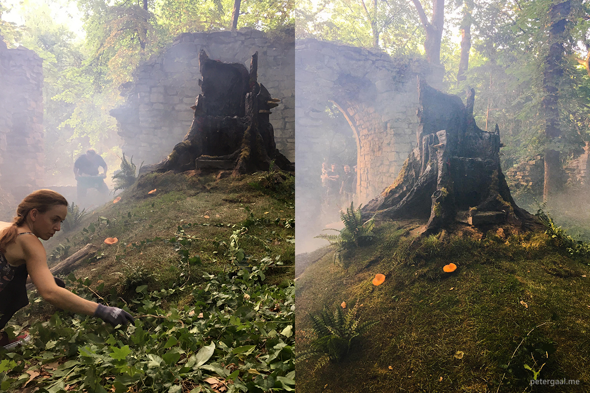 Progeny set building